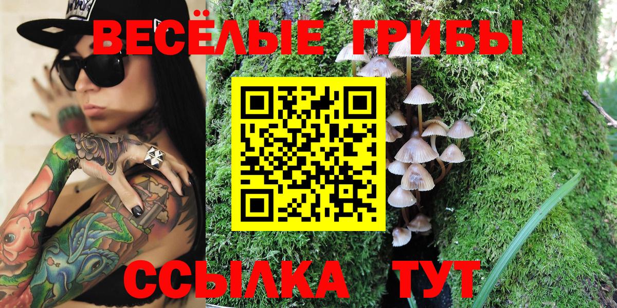 Галлюциногенные грибы Psilocybe  Вход с VPN  Клин 