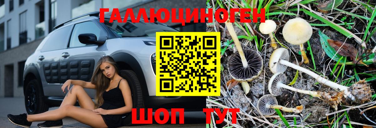 Псилоцибиновые грибы GOLDEN TEACHER Клин