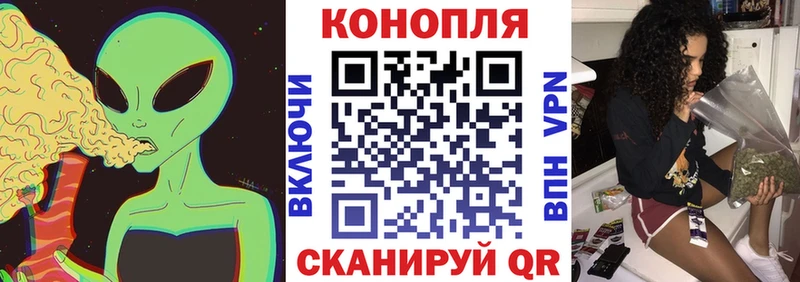 Канабис гибрид  Клин 